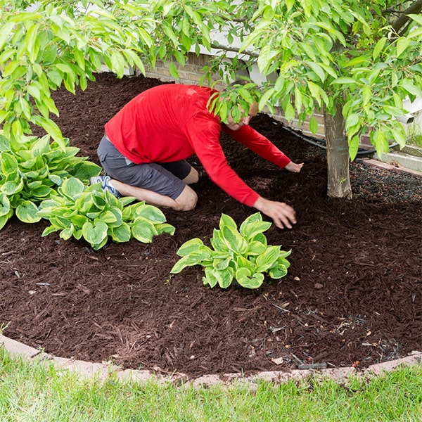 before mulch installation, we properly prepare the area by removing any debris and leveling the ground